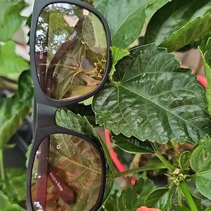 Zenni Sun Glasses